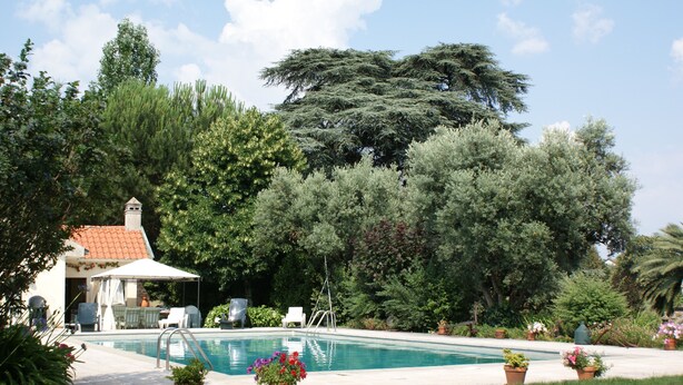 A swimming pool surrounded by lush greenery, a covered patio with outdoor furniture, and a large tree in the background. - Quinta de São Caetano (Viseu)