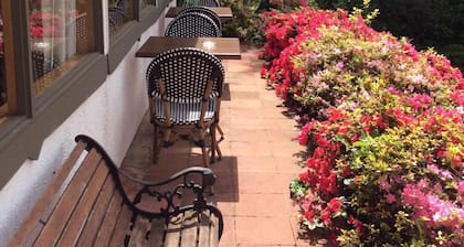 Hotel El Ciervo