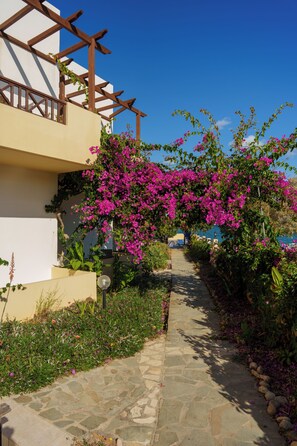 Property grounds - Dedalos Beach Hotel (Rethymno)