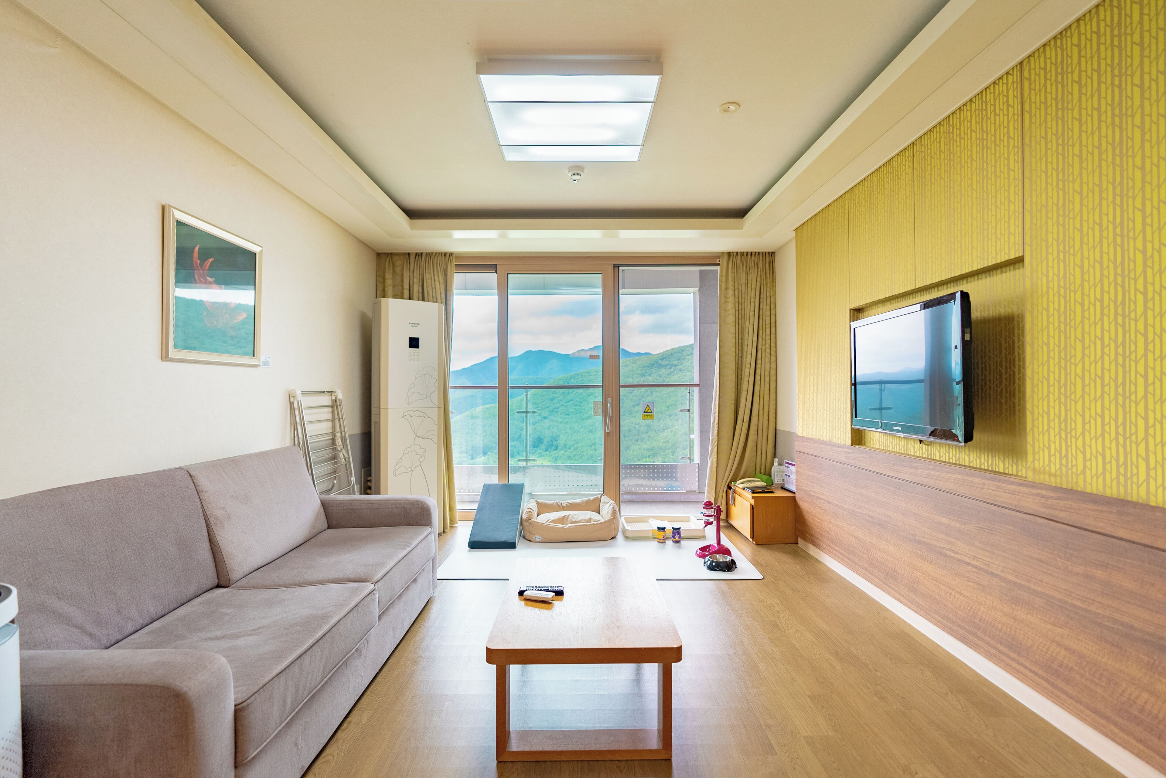 [Hill Condo] Hill Pet Room 40PY | Desk, free wired Internet, bed sheets