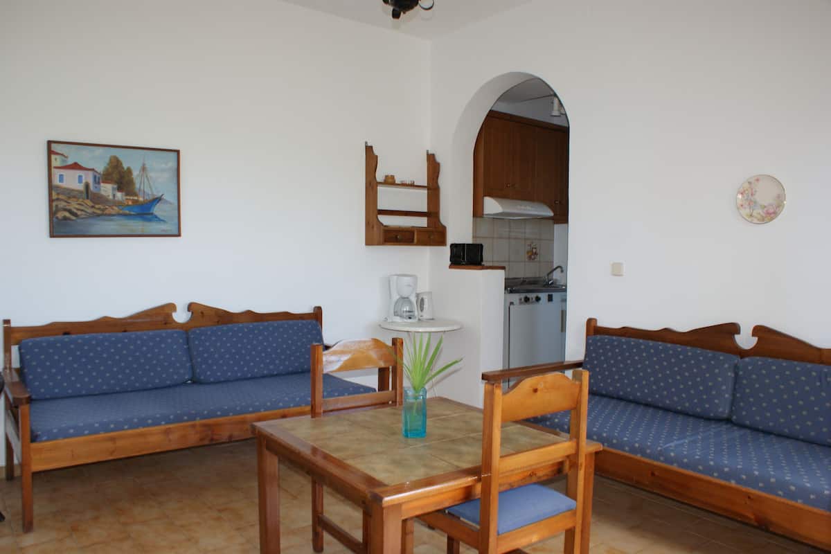 25-inch lcd tv with satellite channels, tv