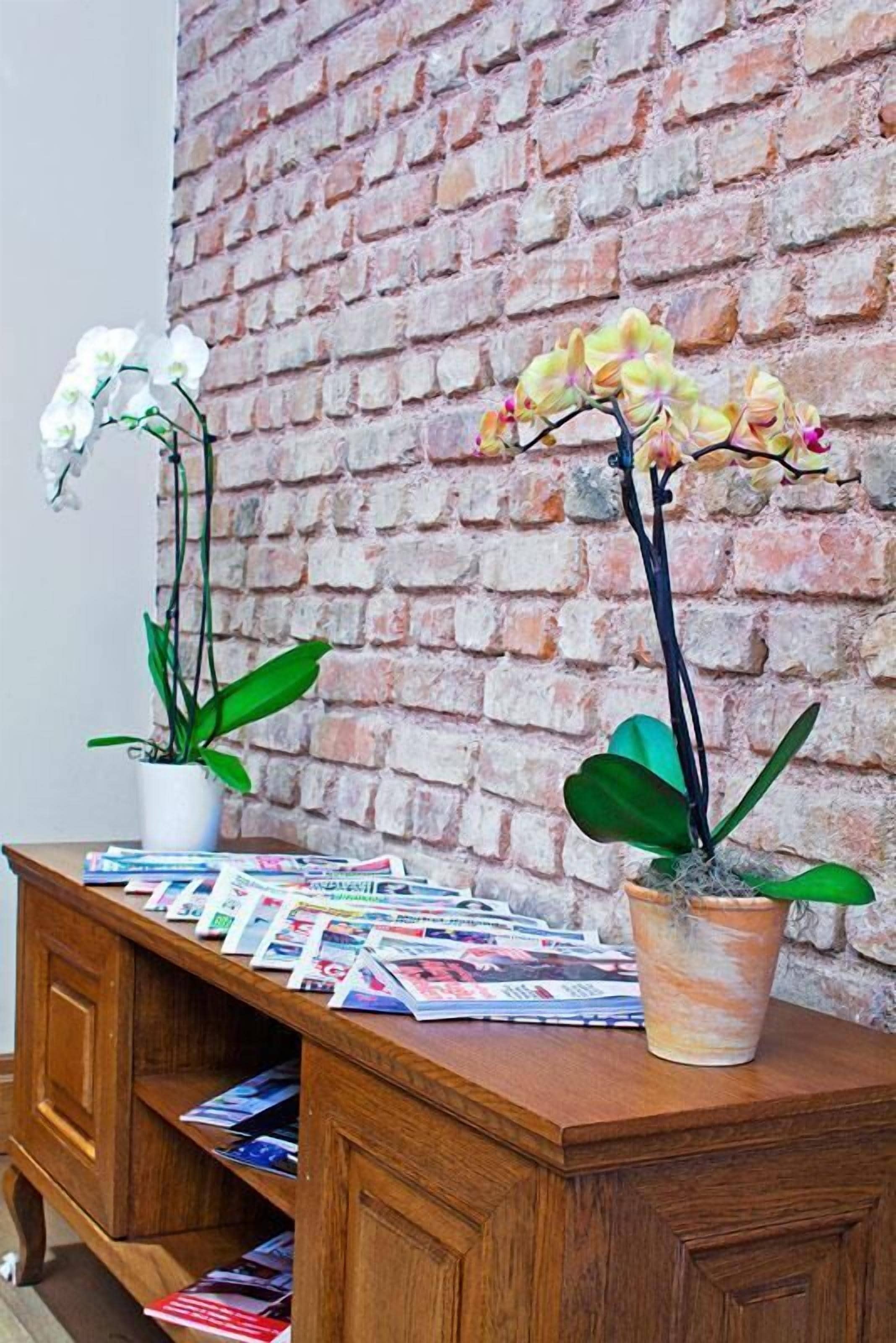 Photo - Celine Hotel - Ottoman Mansion