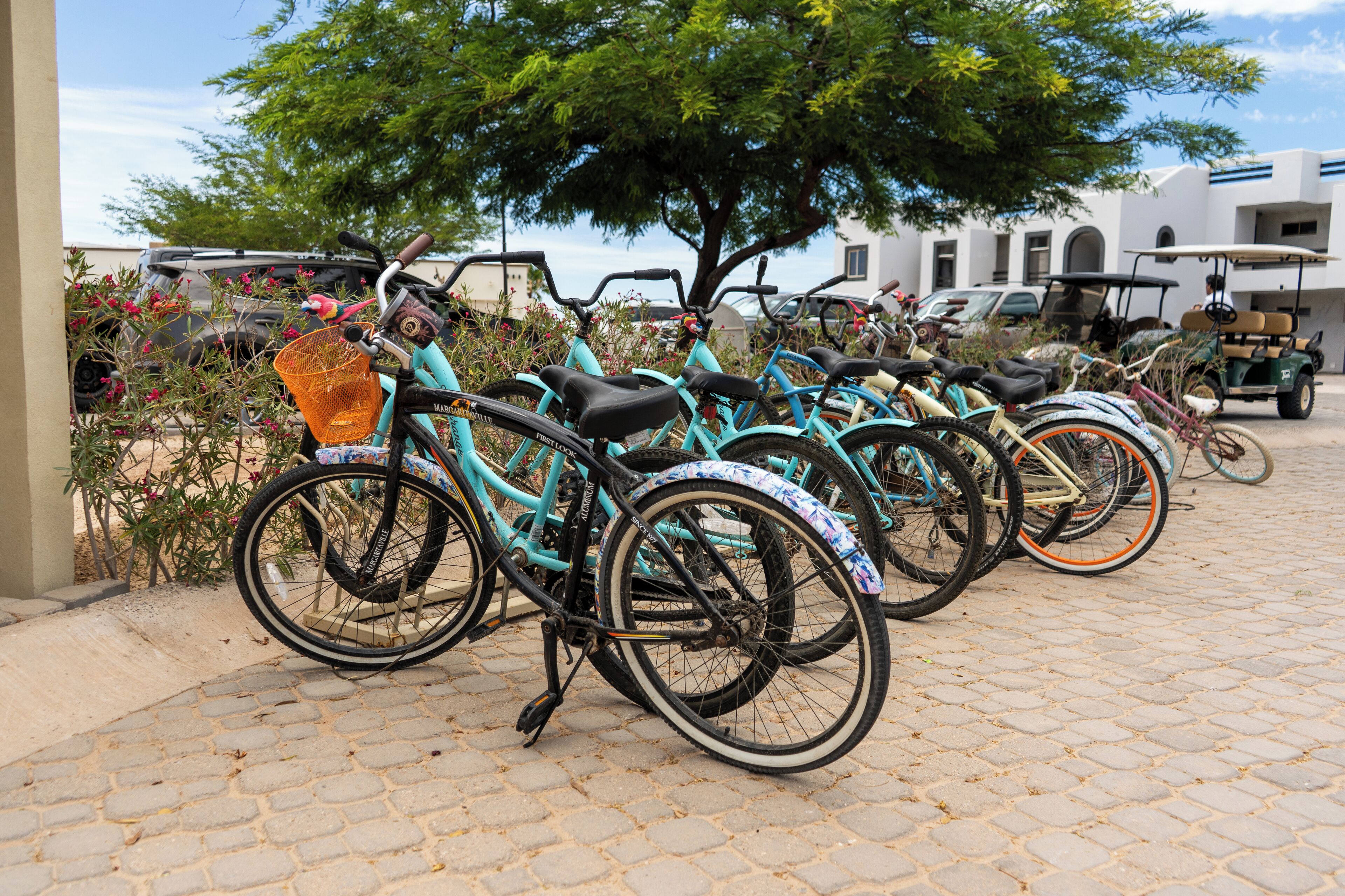 Ciclismo