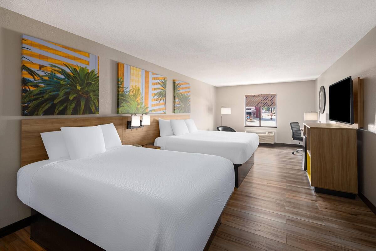 Suite estudio, varias camas, no fumadores | Sábanas de algodón egipcio y ropa de cama de alta calidad