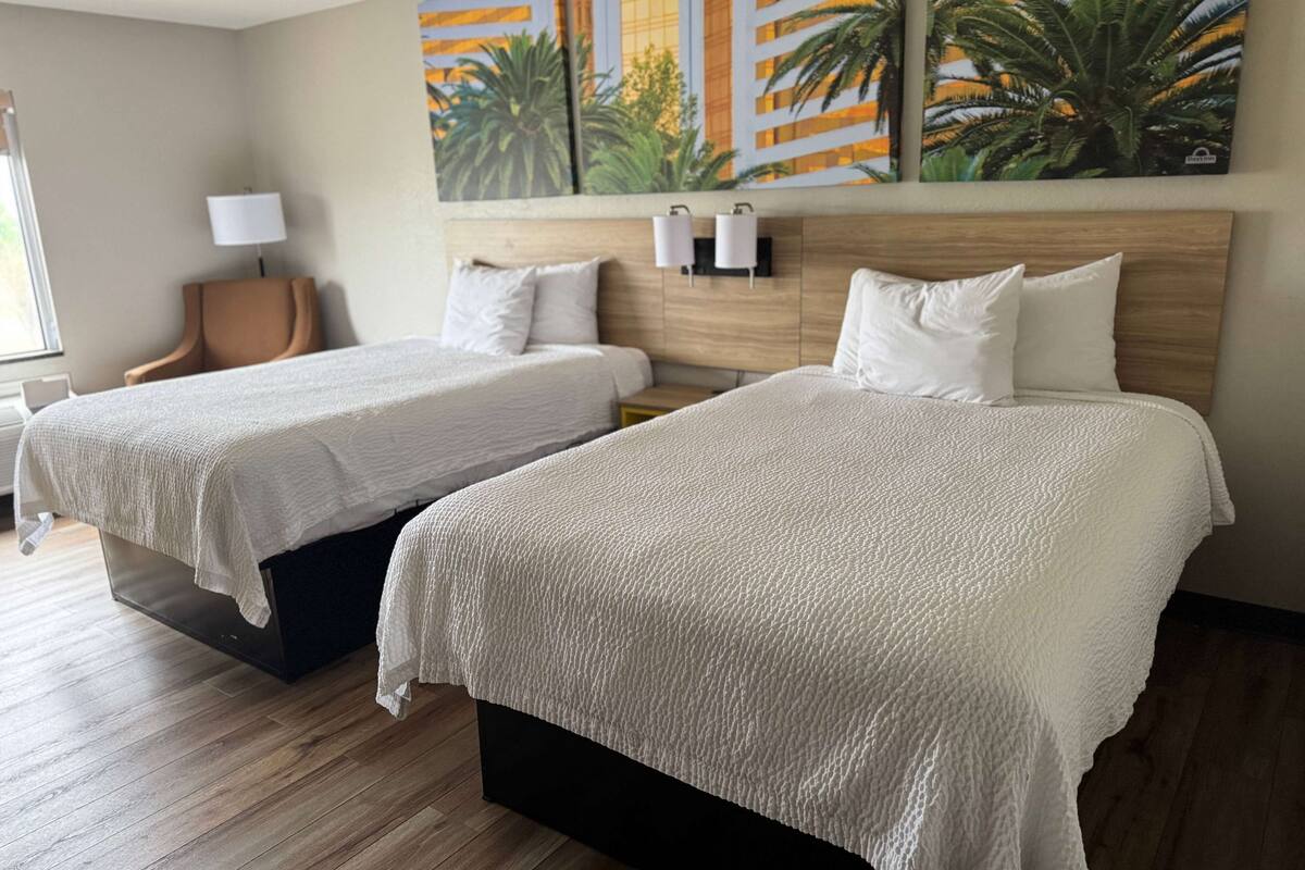 Una habitación de hotel con dos camas, una silla, una lámpara y un cuadro de palmeras.