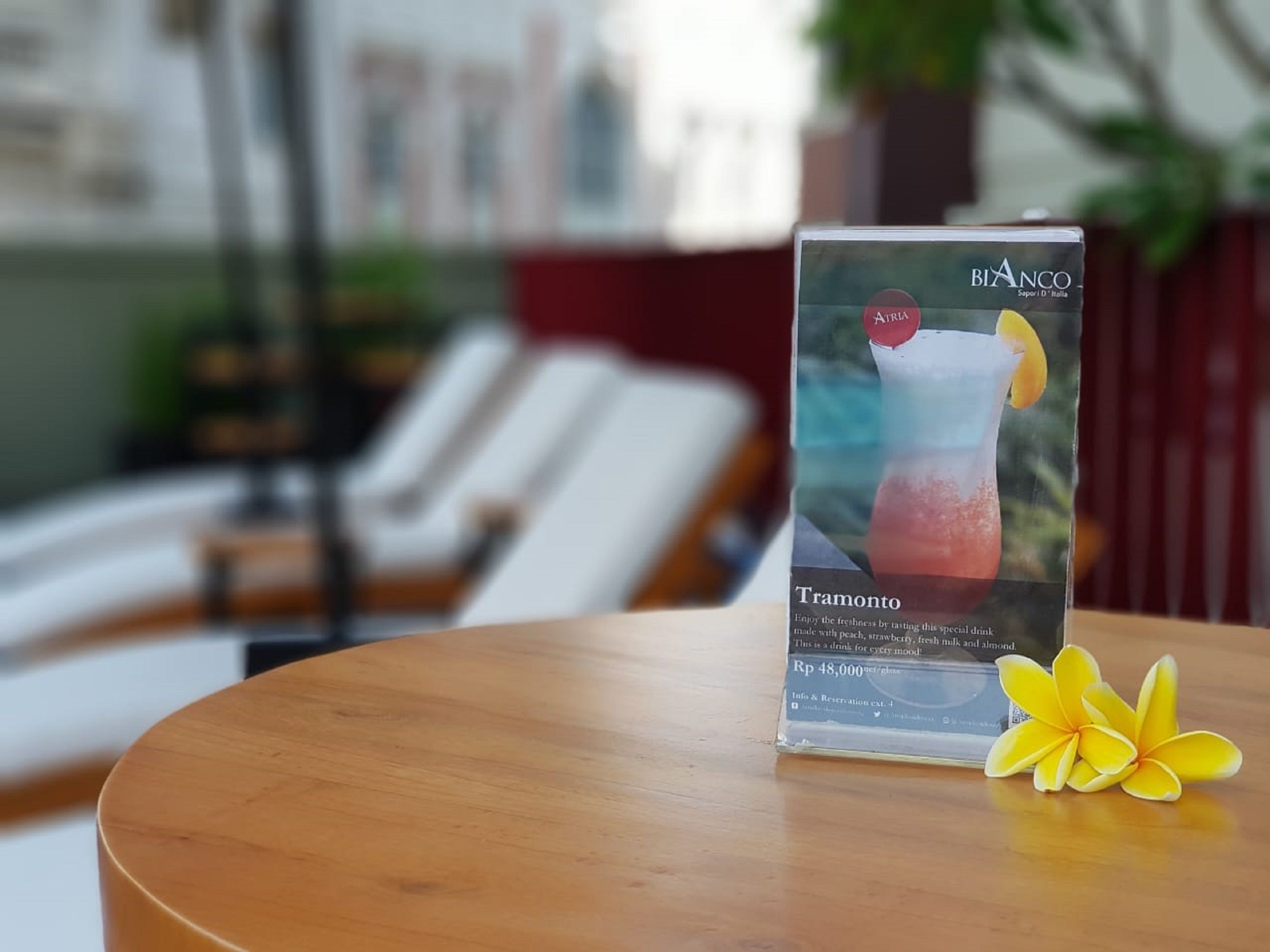 Une brochure présentant la boisson Tramonto, posée sur une table en bois, avec une fleur jaune à côté.