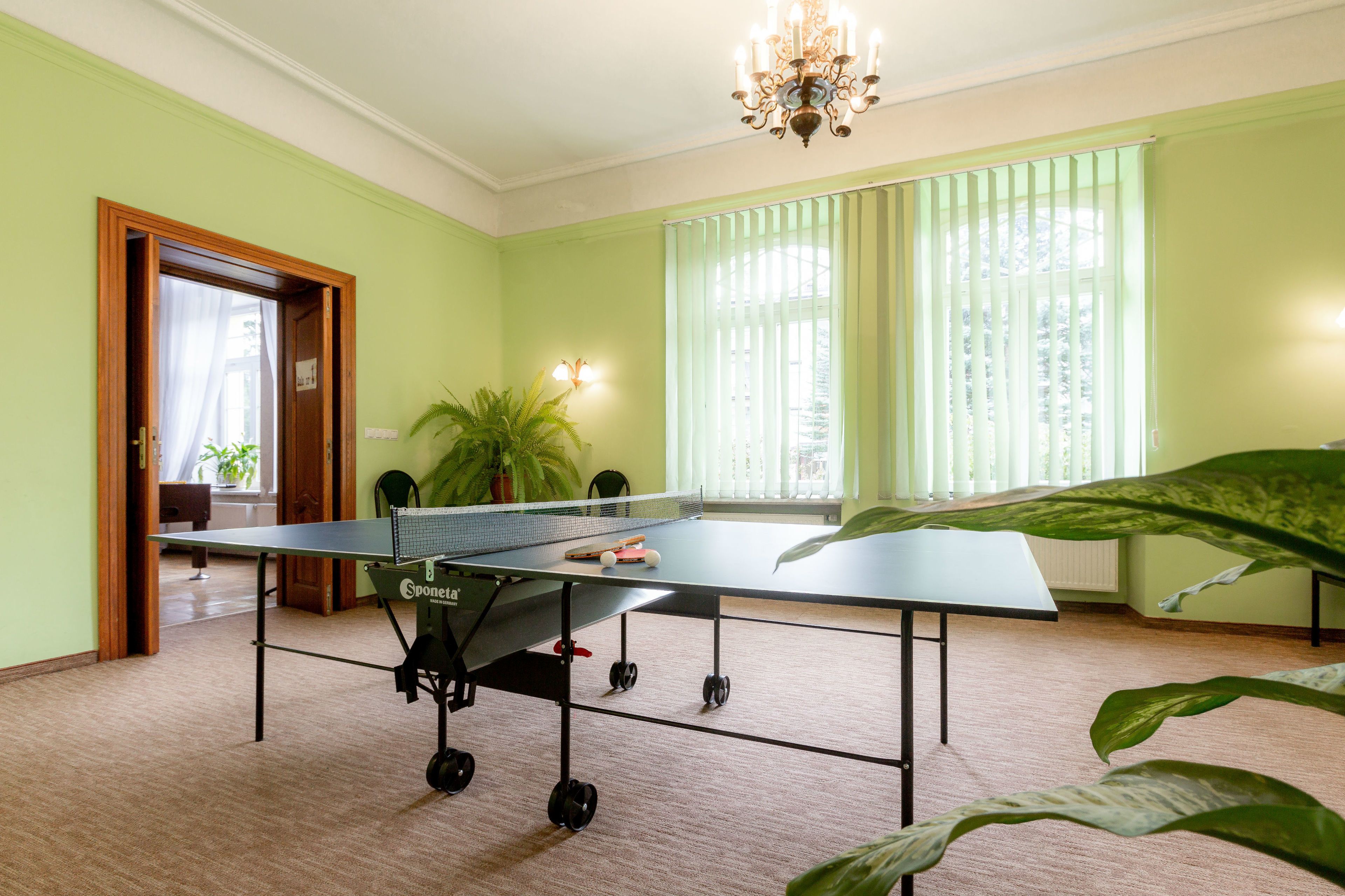 A room with a ping pong table, a potted plant, and a window with blinds.