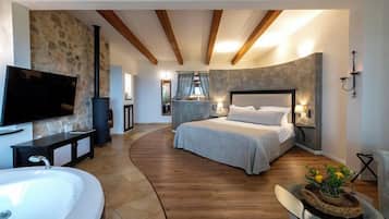 Flat-screen TV, fireplace, DVD player