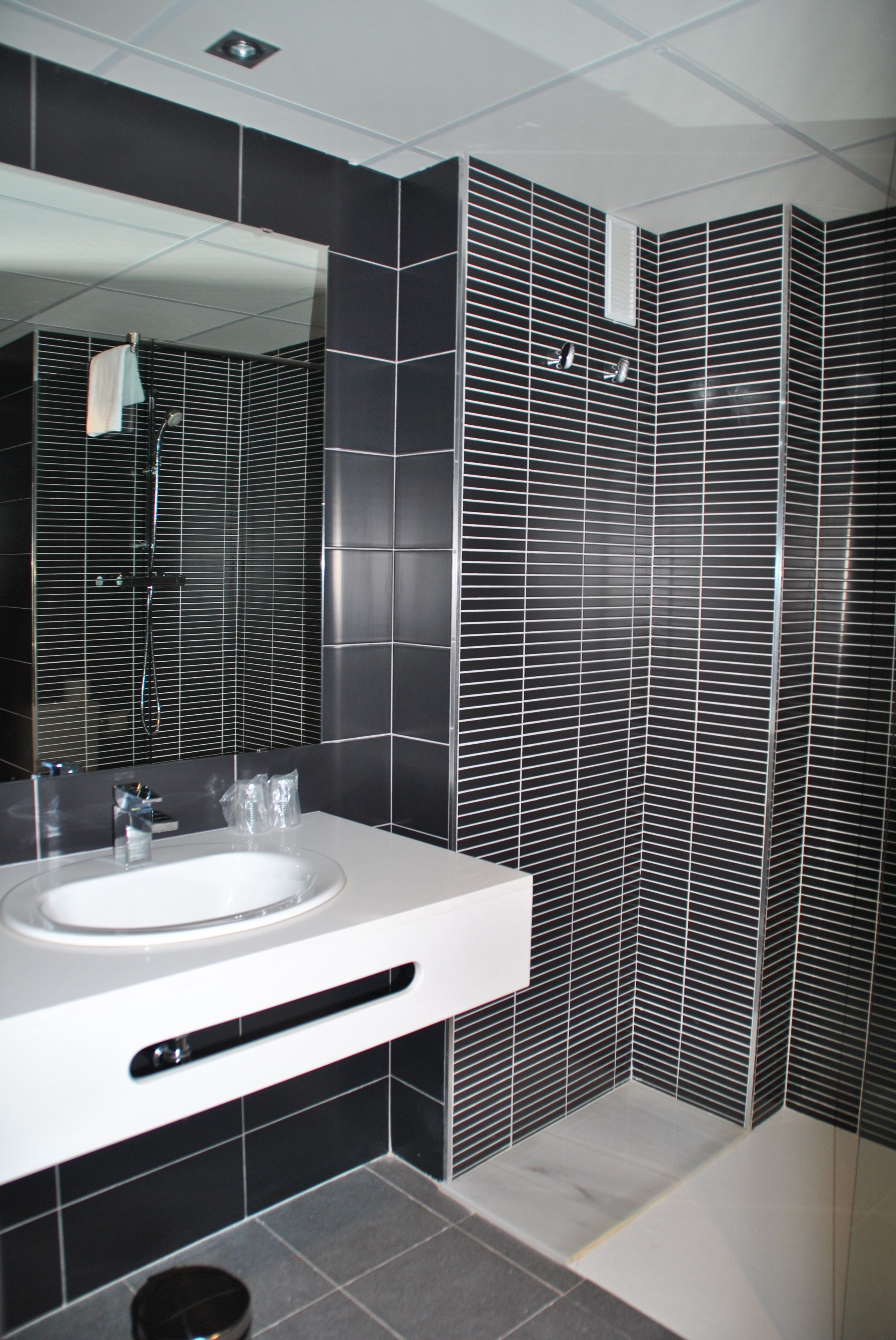 shower, free toiletries, hair dryer, bidet