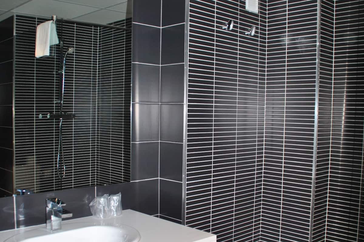 shower, free toiletries, hair dryer, bidet