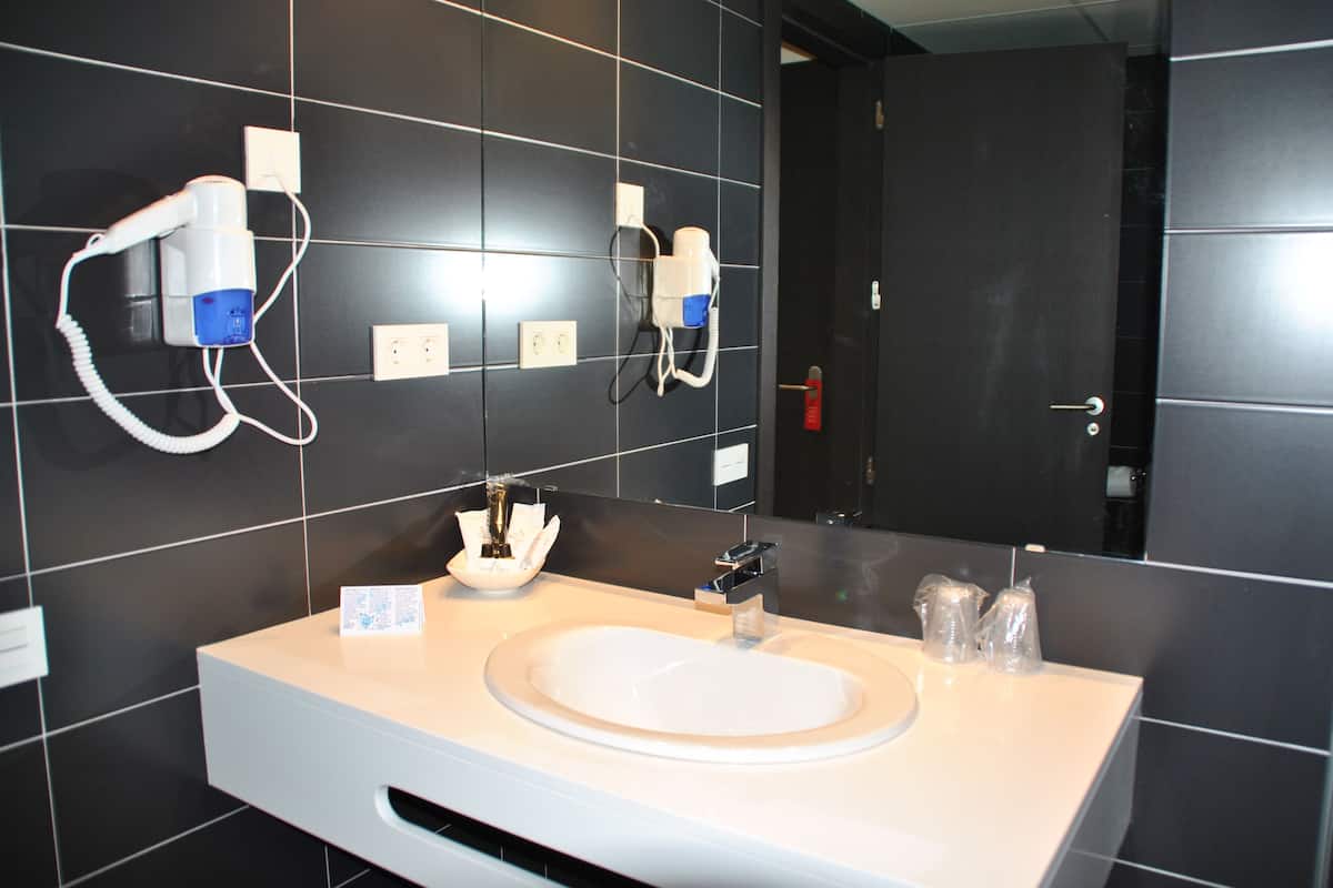 shower, free toiletries, hair dryer, bidet