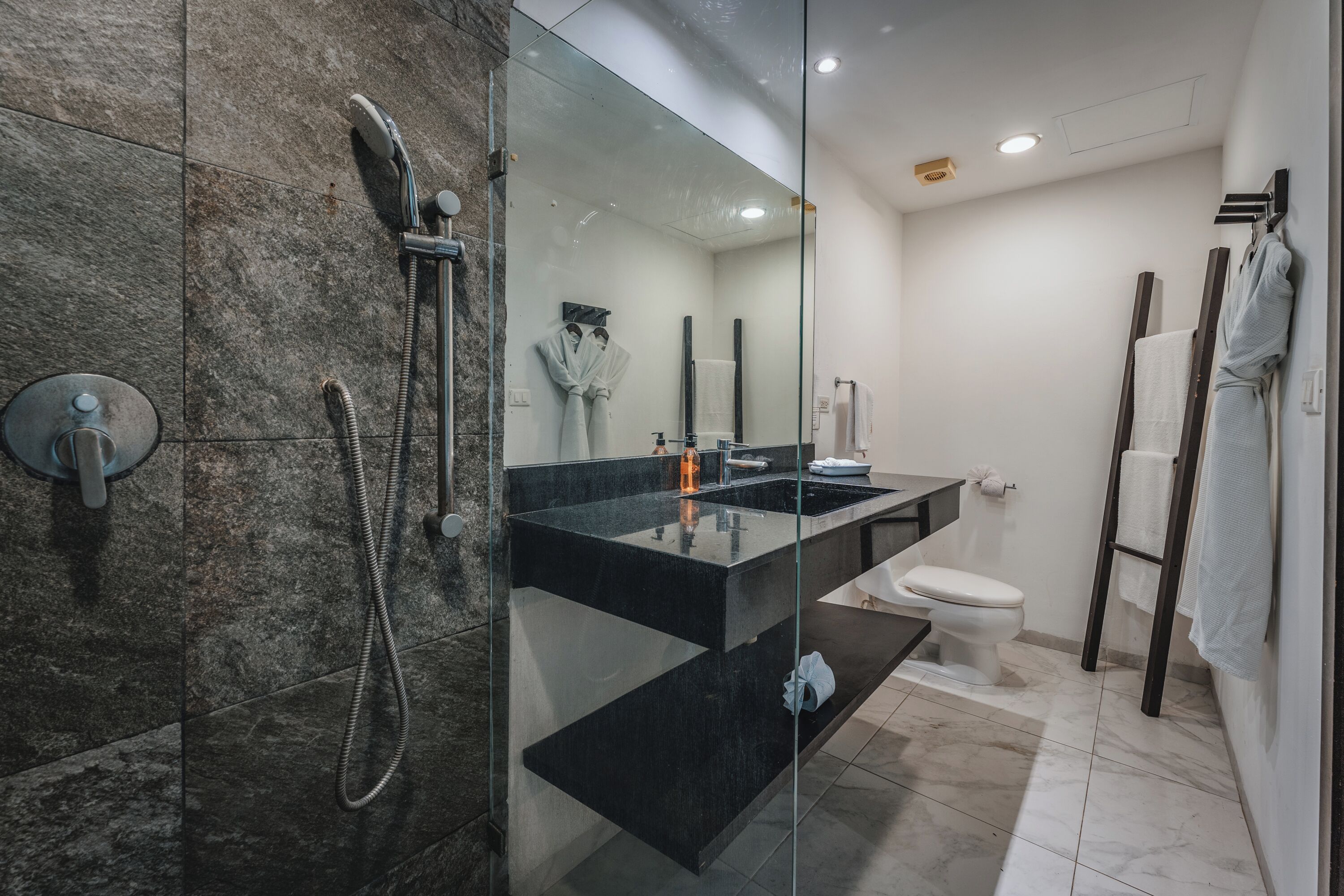 deluxe suite | bathroom | shower, rainfall showerhead, free toiletries, hair dryer