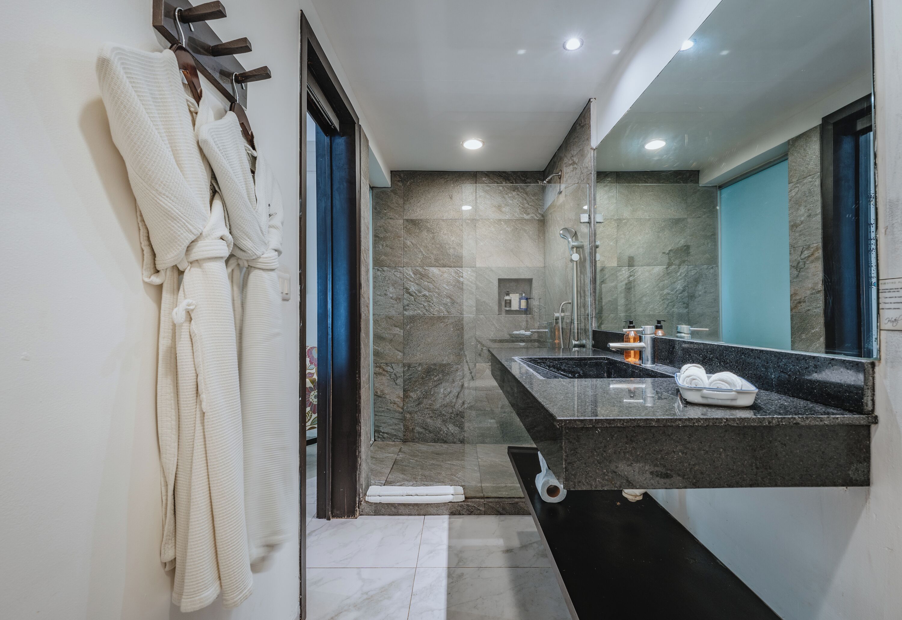 deluxe suite | bathroom | shower, rainfall showerhead, free toiletries, hair dryer