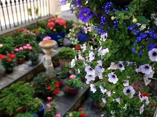 Florence Guest House