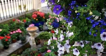 Florence Guest House