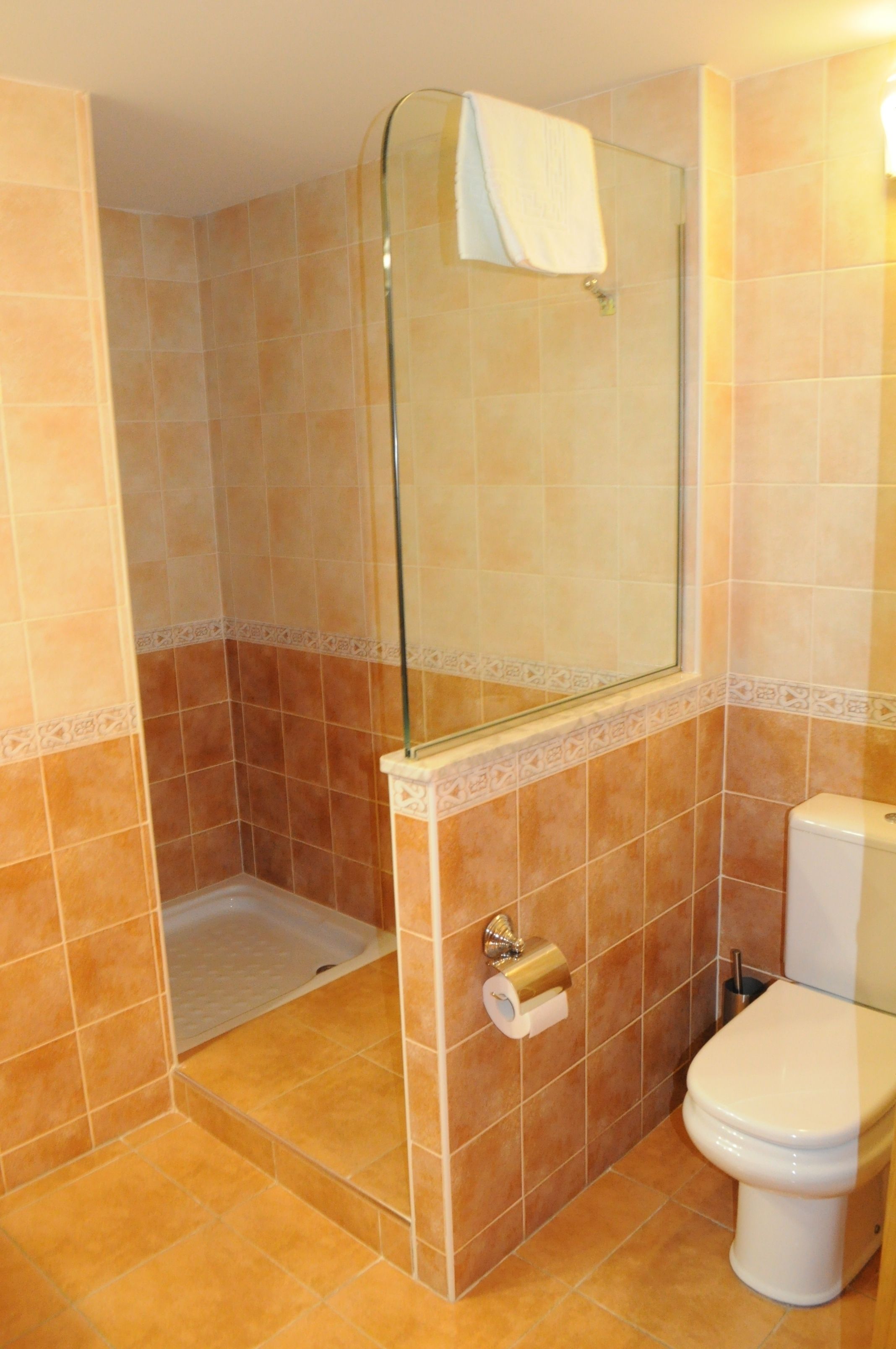Un baño con cabina de ducha de vidrio, inodoro y un rollo de papel higiénico en la pared.