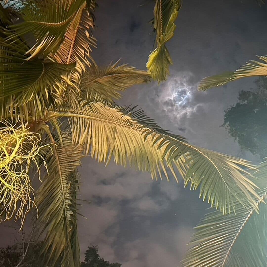 Foto - Hotel Don Horacio