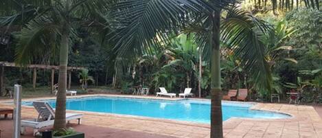 A swimming pool surrounded by palm trees and lounge chairs.