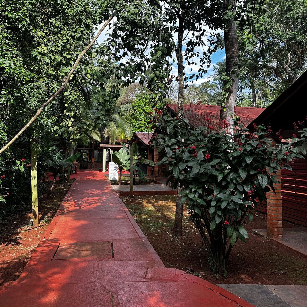 Un sendero conduce a un edificio de techo rojo, rodeado de abundante vegetación y árboles.