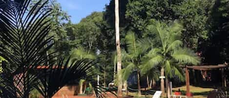 季節性室外泳池