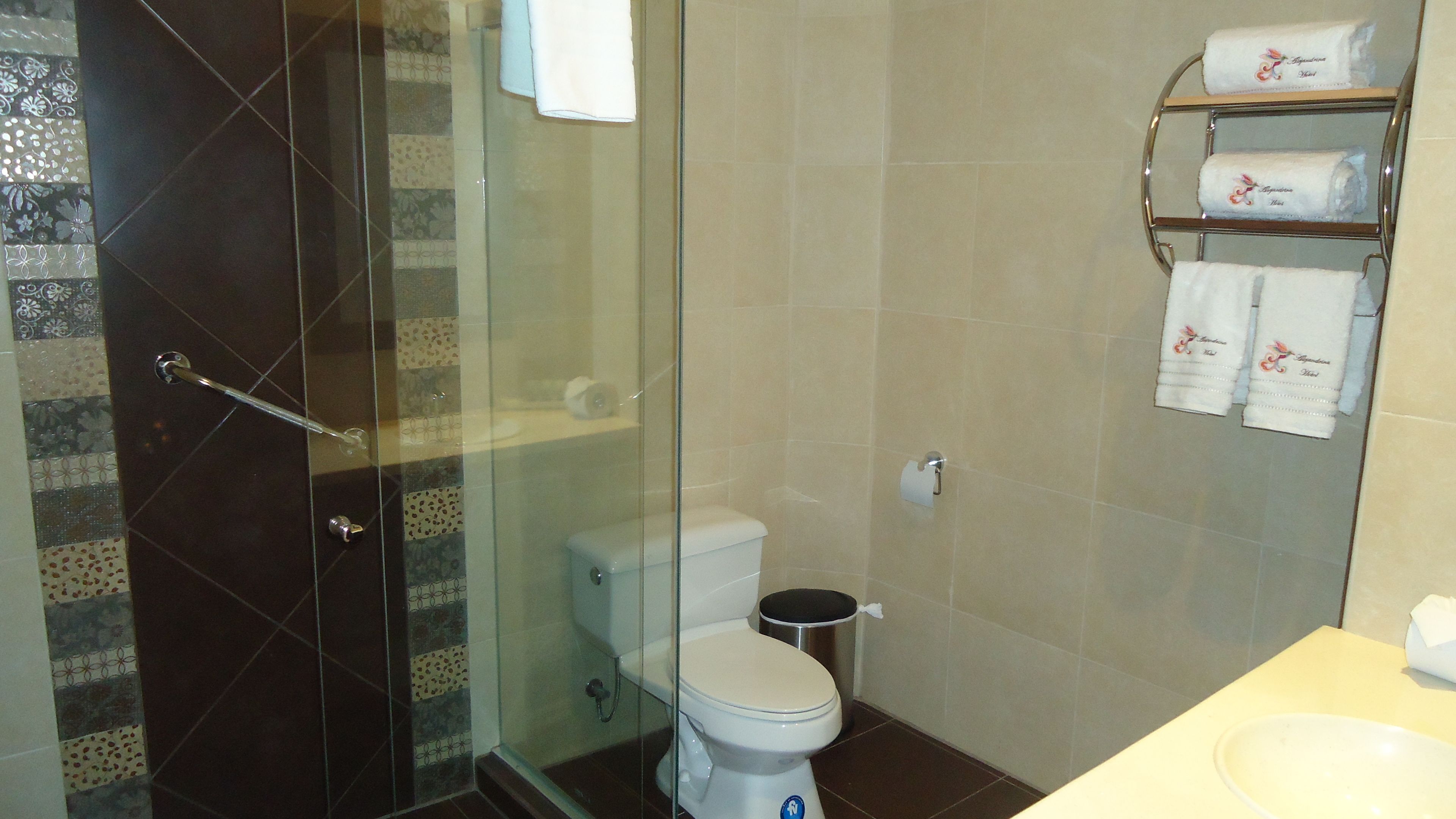 Foto - Alejandrina Hotel