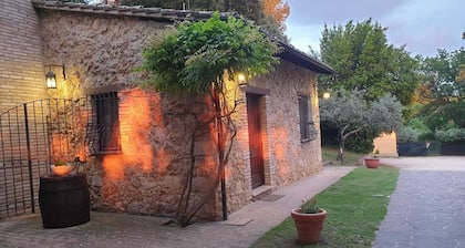 All'Ombra di San Damiano