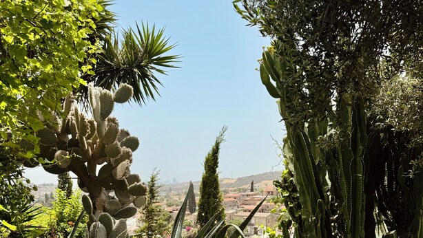 Een tafel buiten gedekt met diverse gerechten, omringd door weelderige begroeiing en cactussen, met uitzicht op een stadsbeeld.