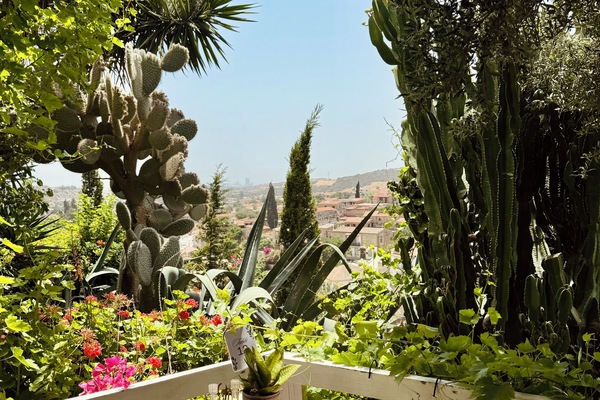 2 restaurants, Mediterranean cuisine