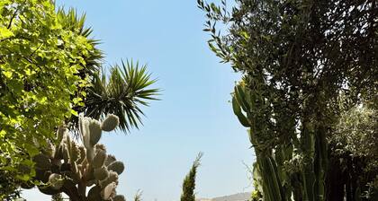 Cyprus Villages Hotel & Restaurant - Central Location - Bed & Breakfast - With Access To Pool And Stunning Views