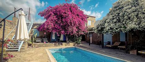 A swimming pool with a stone deck, surrounded by outdoor seating and a large flowering tree.