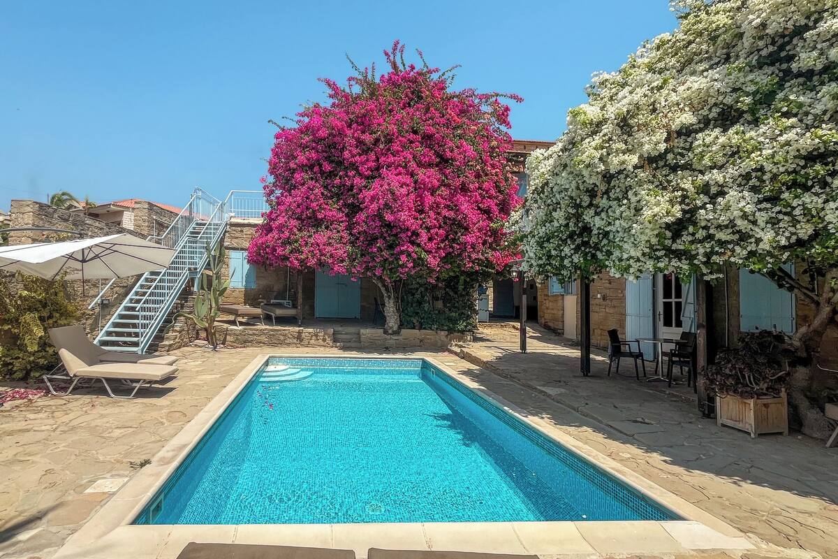 A swimming pool with a stone deck, a staircase, and a tree with pink flowers.