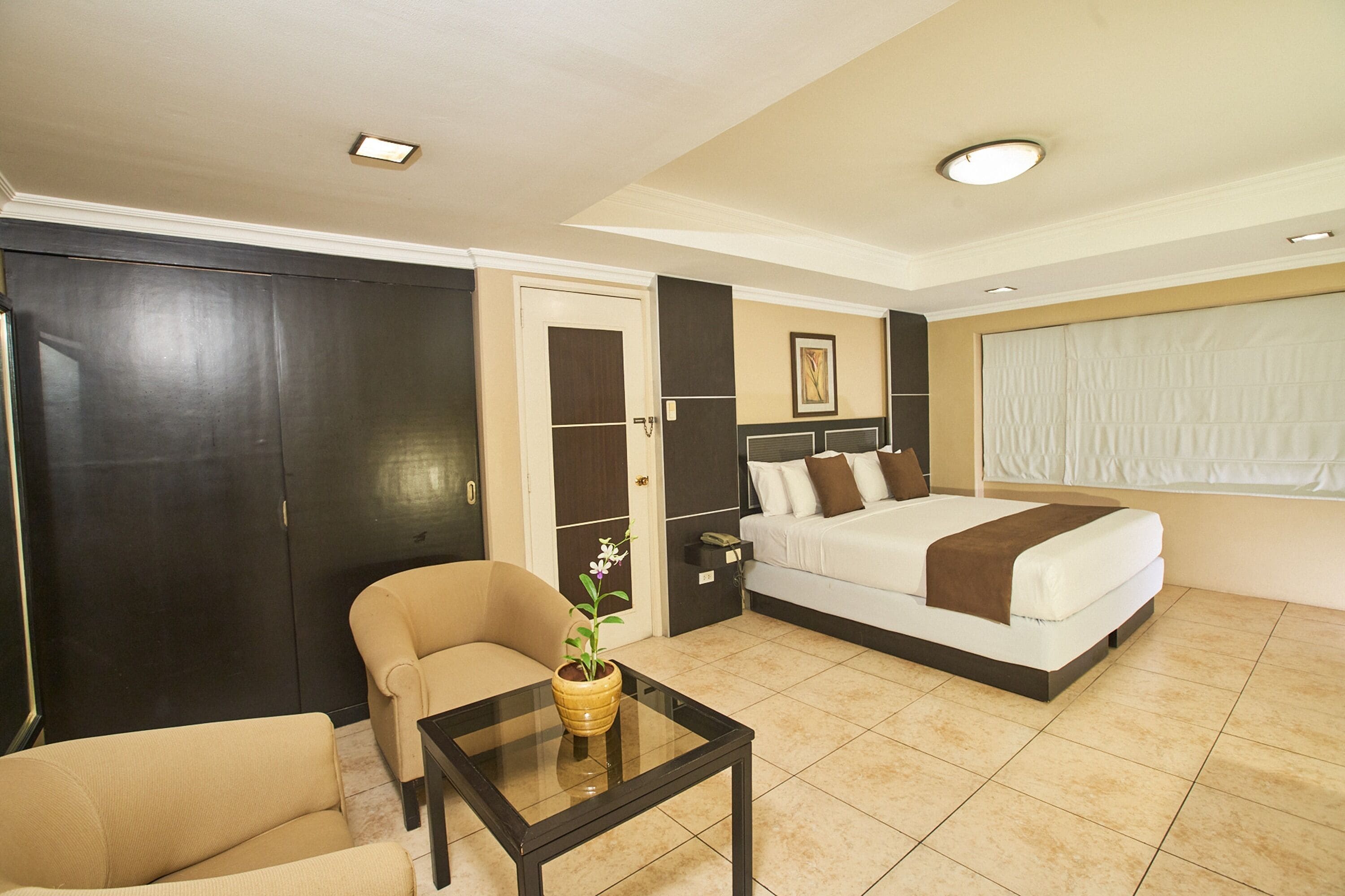 A hotel room with a bed, a chair, a small table with a plant, and a door.