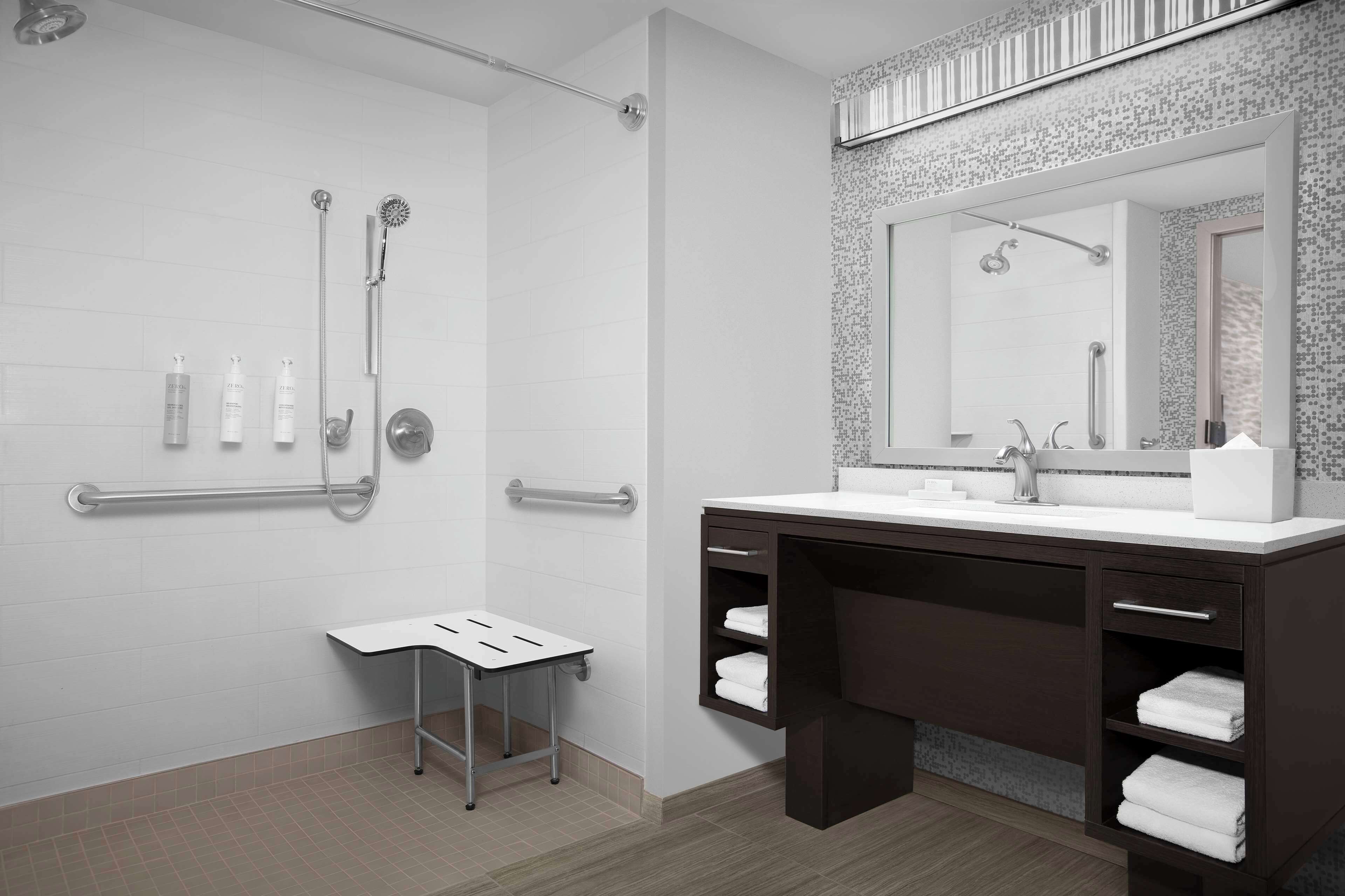 suite, accessible, non smoking | bathroom shower