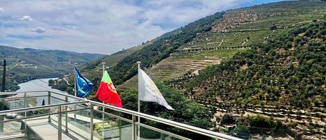 A terrace with a view of terraced vineyards and a river.