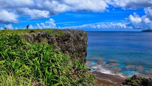 A coastal landscape with a rocky cliff and ocean view.