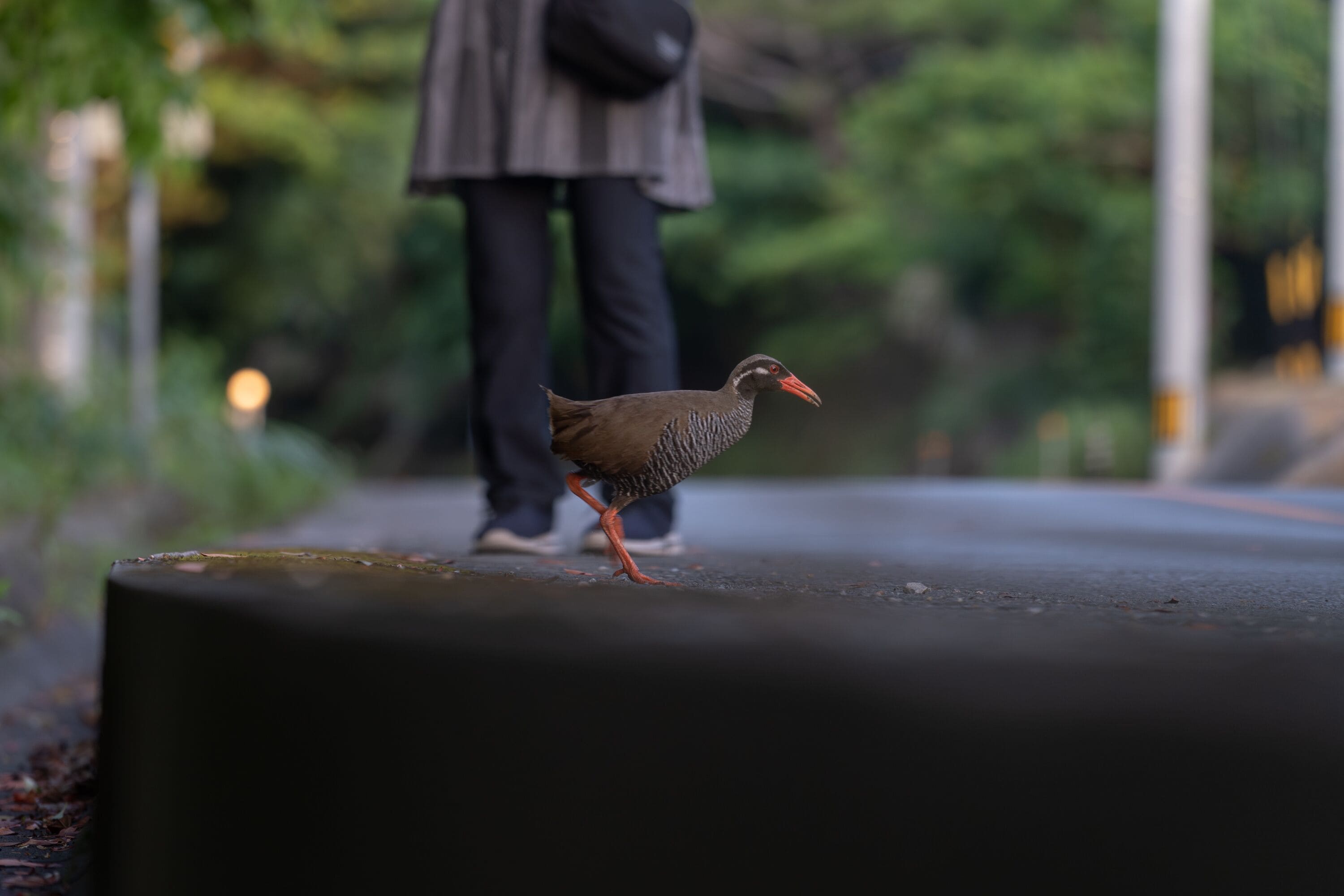 客室