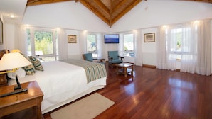 Un dormitorio amplio con una cama grande, televisión y vistas al exterior.