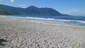 A beach with a mountain in the background.