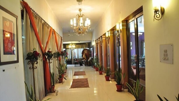 A hotel corridor with potted plants, a chandelier, and a framed picture on the wall. - Pulse Impulse (New Delhi)