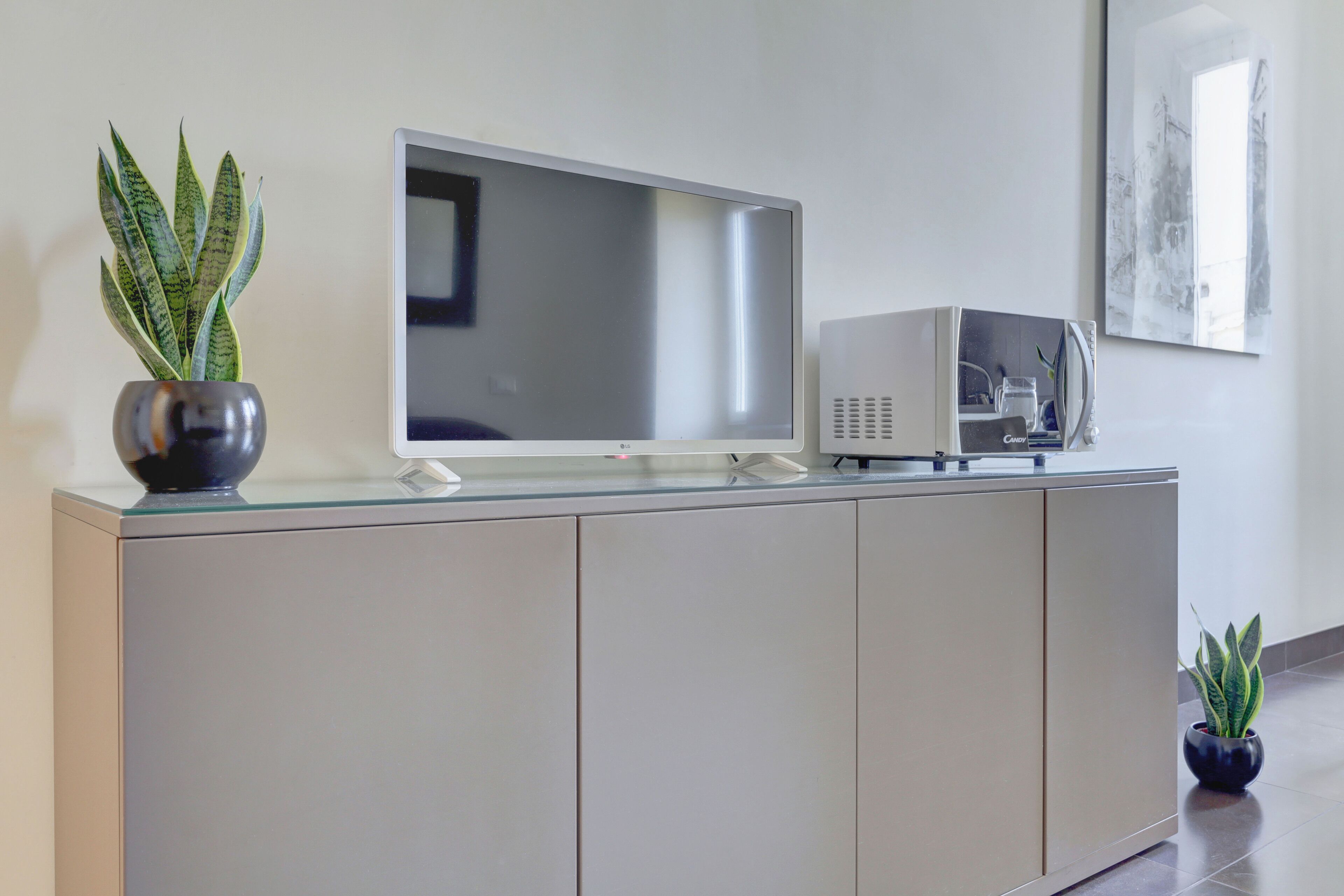 A modern living room with a flat-screen TV on a glass-top cabinet, a small speaker, and two potted plants.