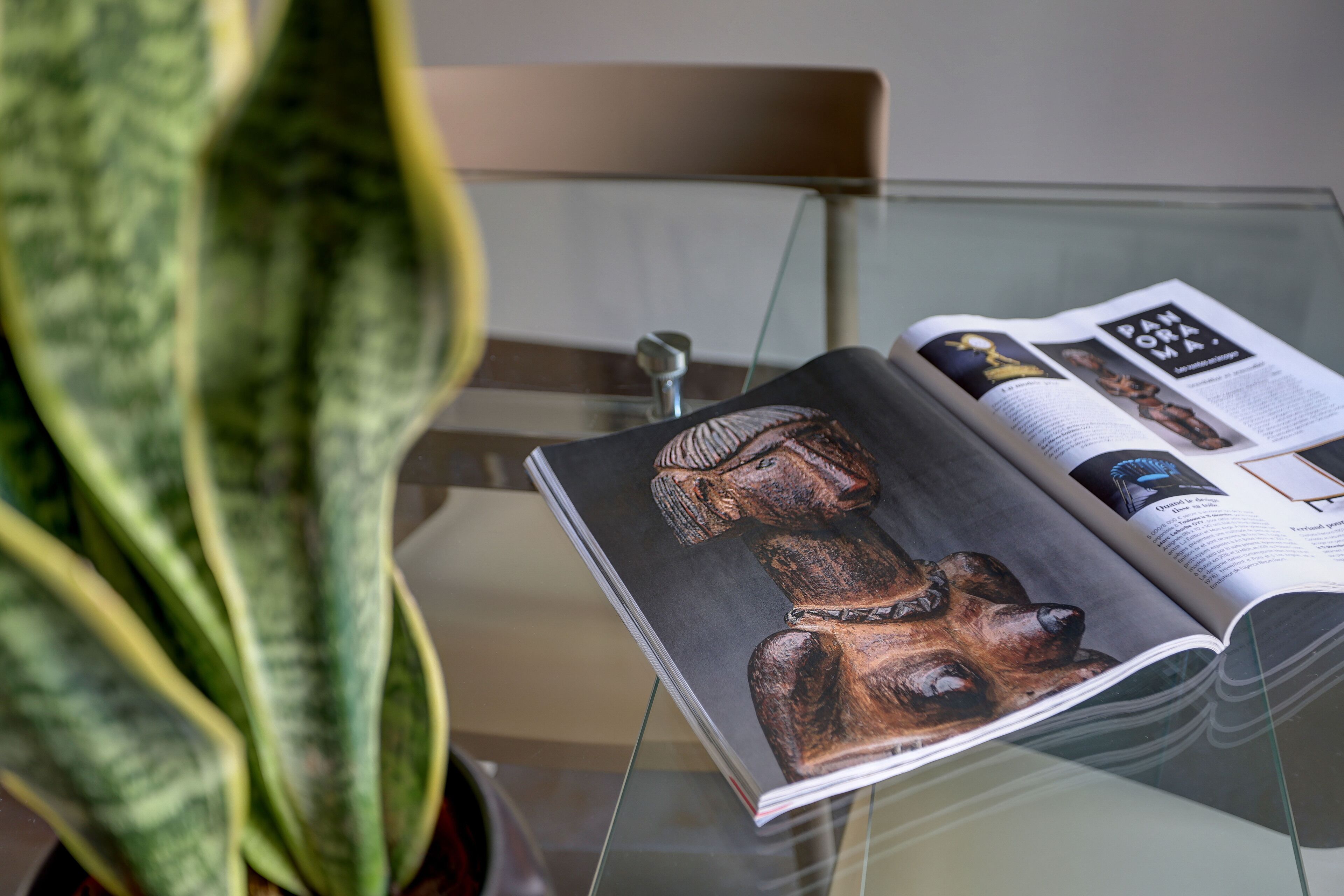 Un magazine sur une table en verre, avec une plante à côté.