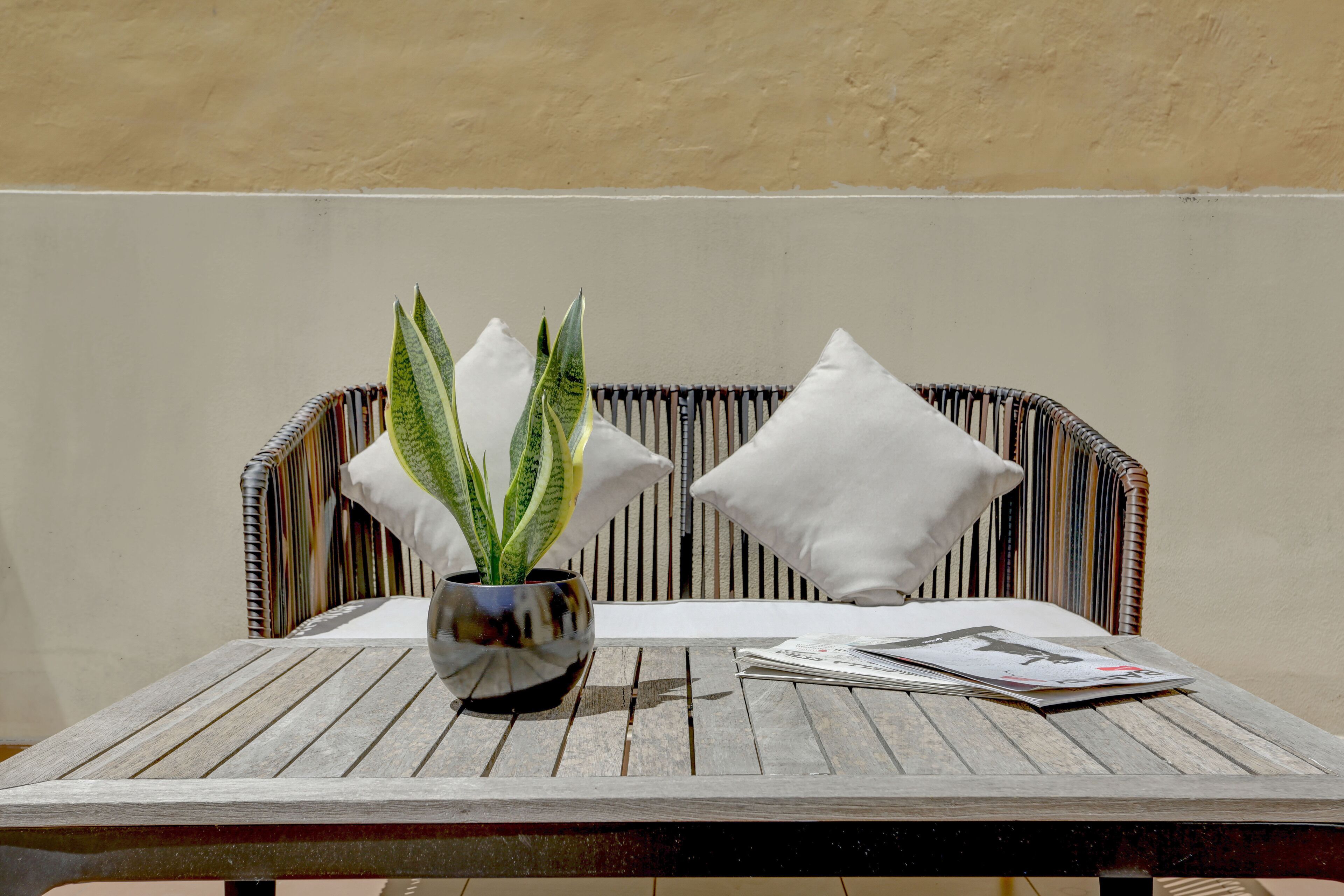 A wooden table with a potted plant and a magazine.