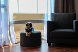 Animaux de compagnie acceptés