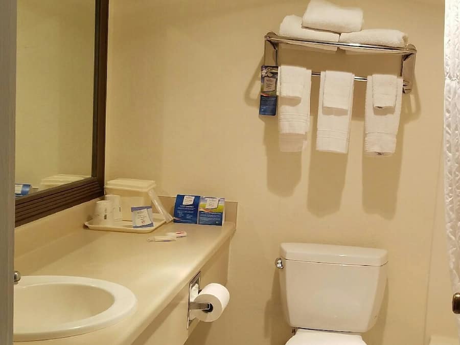 Toallas, jabón, champú y papel higiénico