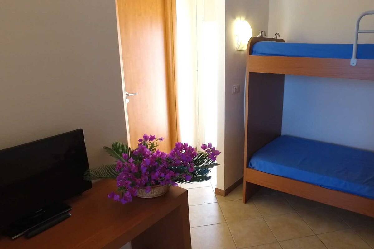A room with a bunk bed, a TV on a wooden table, and a window with curtains.