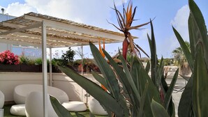 A covered outdoor seating area with a pergola, green artificial grass, and various plants including a large agave plant. - La Casa del Turista (Gallipoli)