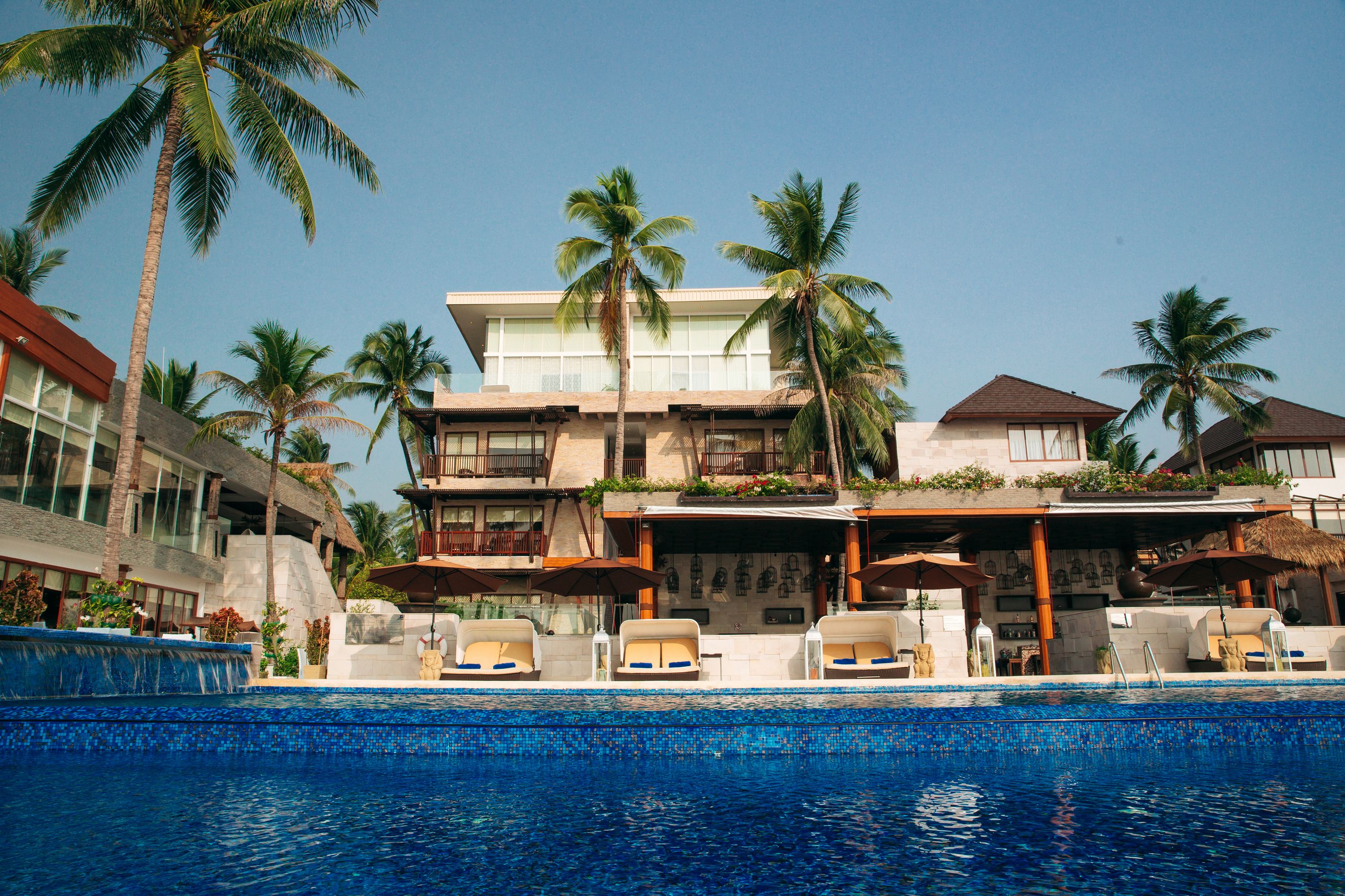 Un hotel con piscina, palmeras y sillas de descanso.