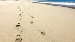 Une plage de sable avec des empreintes menant à l’eau, un ciel dégagé et une colline boisée en arrière-plan.