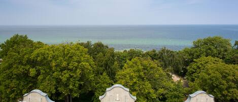 A view of a coastal area with a clear sky, a body of water, and dense green foliage.
