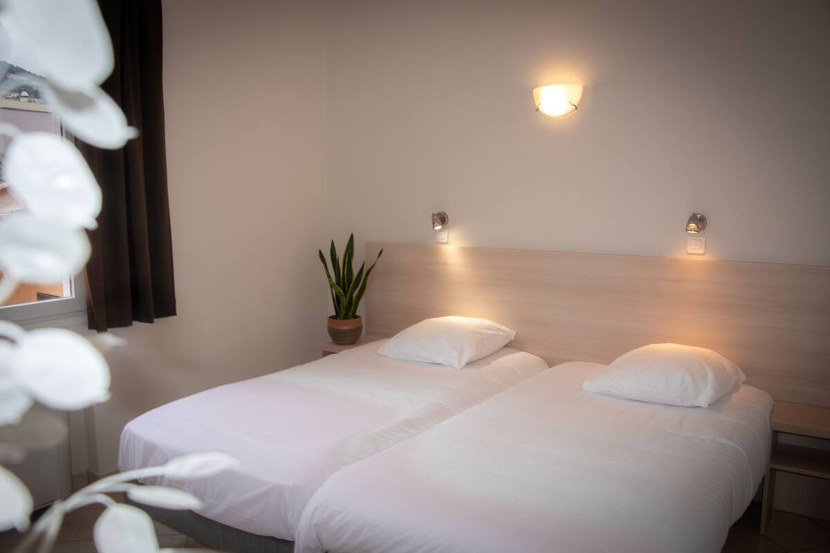 Une chambre d’hôtel avec deux lits, une plante en pot et des lampes fixées au mur.